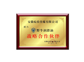 戰(zhàn)略合作伙伴